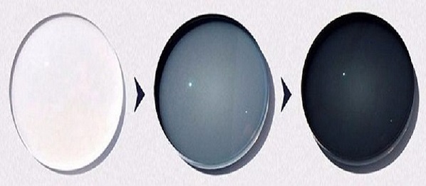 World Eyeglasses Optical Lenses